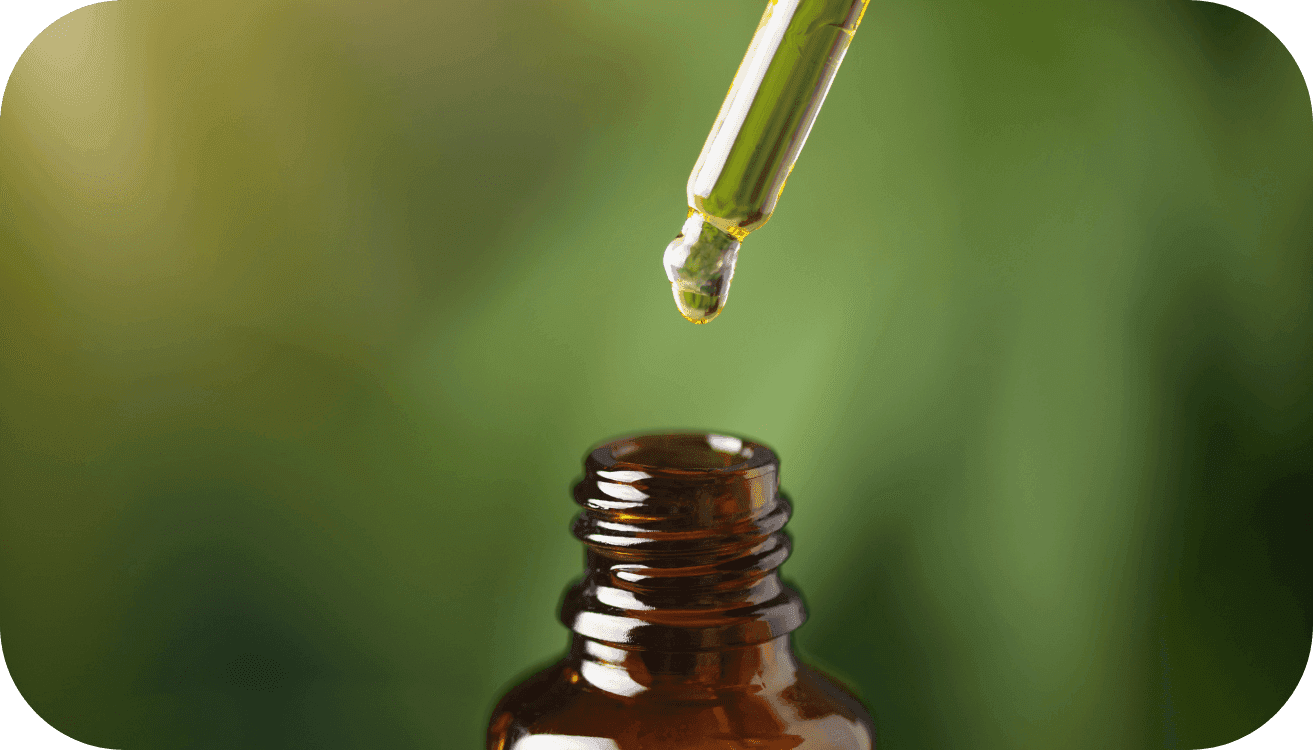 Extrakt wird mit Pipette aus braunem Glas entnommen